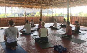 Yoga Teacher Training