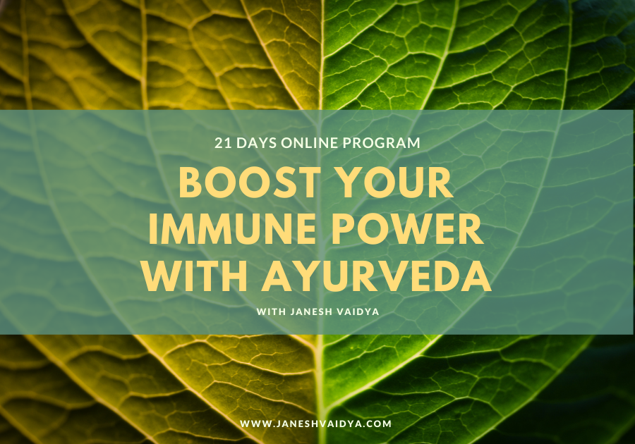 Ayurveda Immune Power